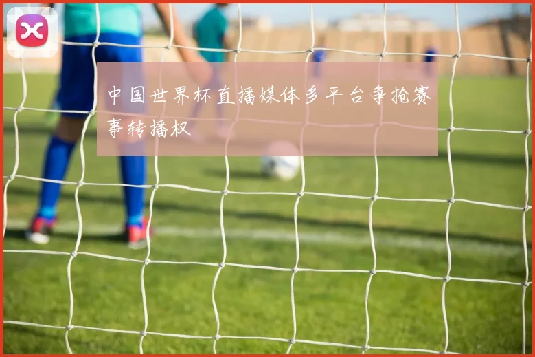 中国世界杯直播媒体多平台争抢赛事转播权