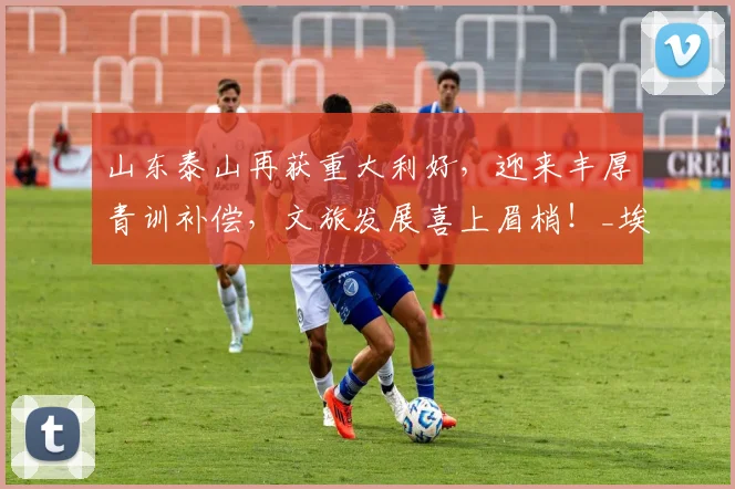 山东泰山再获重大利好,迎来丰厚青训补偿,文旅发展喜上眉梢!_埃德松_巴西_罗马