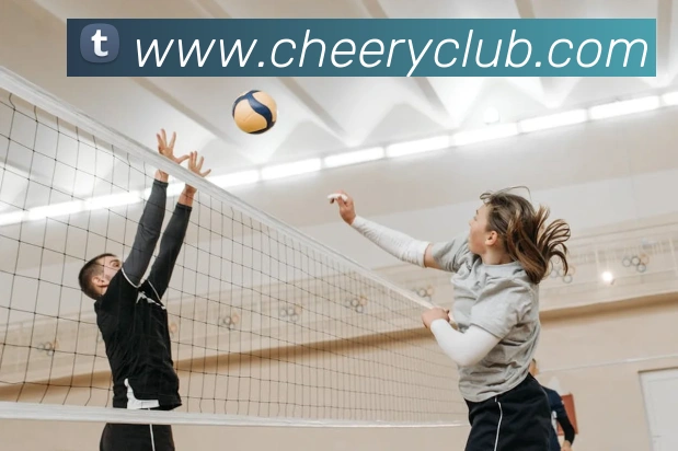 ob体育官网登录界面平台生态图